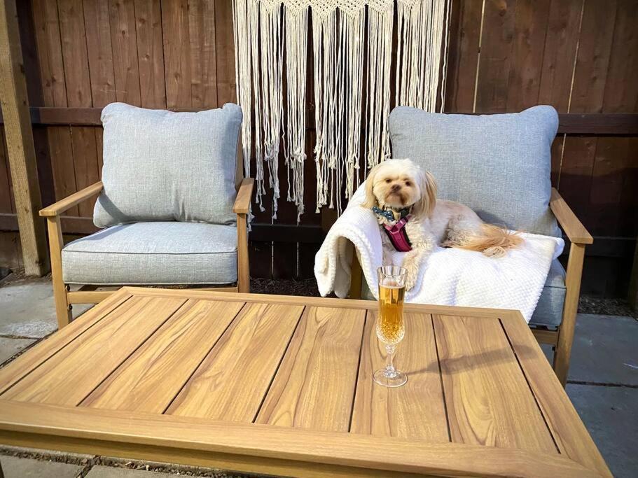 Lbc Paradise Bungalow ロングビーチ エクステリア 写真